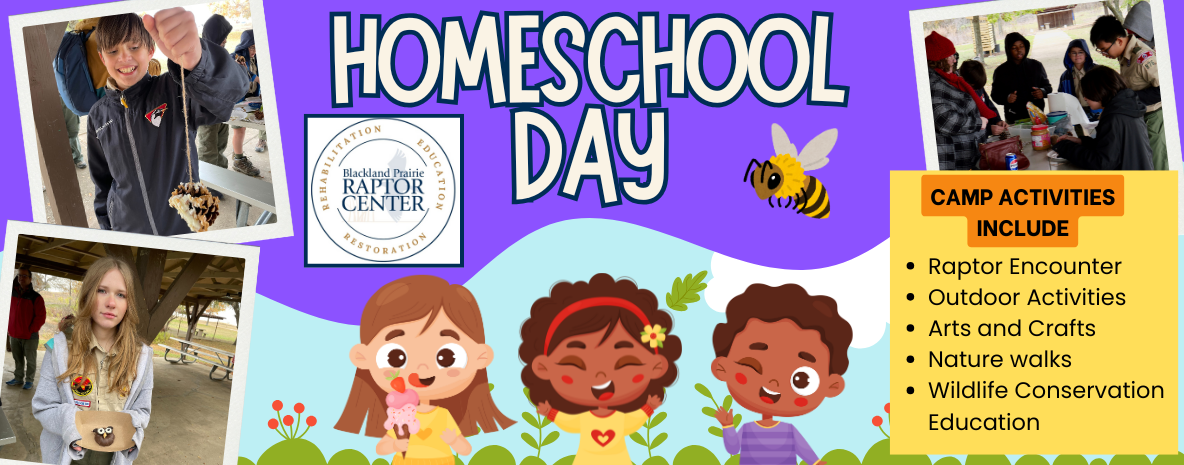 Homeschool Day - December: Careers with Animals